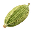 © woopics - Single green cardamom pod on a transparent background