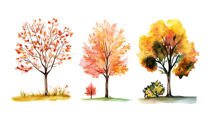 Poster - Set of tree and autumn leaves painted in watercolor on a white isolated background