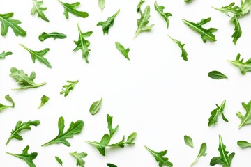 Wall Mural - Isolated top view of fresh green arugula leaves on white