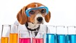 © Arthittaya - Beagle in Lab Coat with Goggles and Colorful Chemicals