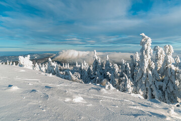 Wall Mural - Winter on Lysa hora hill in Moravskoslezske Beskydy mountains in Czech republic