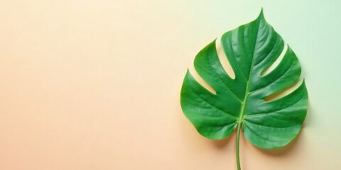 Poster - Single Lush Green Leaf on Soft Peach Background