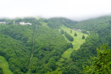 Poster - A view of Shiga Kogen with clouds beginning to form.