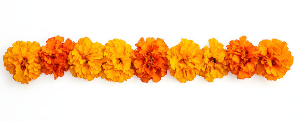 Wall Mural - marigold flowers isolated on a white background. decorative elements, garland for the day of the dea