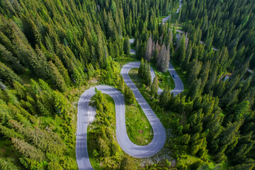 Wall Mural - Snake Road in the Dolomites. Sunrise aerial forest