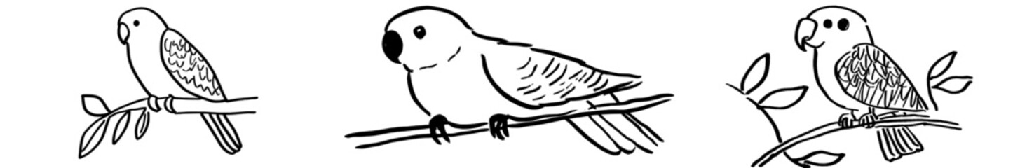 Poster - Hand drawn parrot, Macaw style. Sketch designed for anti-stress adult coloring books in zen-tangle aesthetics. Modern illustration for coloring pages with a white background. Perfect for poster,