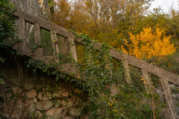 fantasy medieval stone ruins buildings in ivy