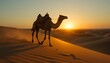© Beshr - a Camel walking in the desert at sunset