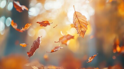 Wall Mural - Vibrant Autumn Foliage with Blurred Natural Background