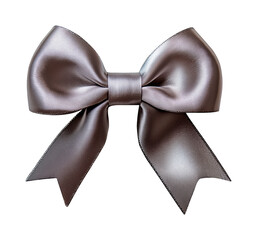 Wall Mural - Light brown bow perfect for gift boxes, gift bow png image isolated