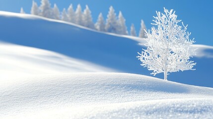 Canvas Print - Winter Wonderland Landscape with Icy Tree