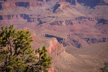 Wall Mural - Grand Canyon and Clouds with a blue background Landscape 