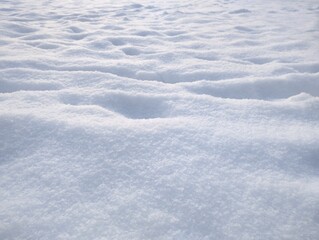 snow on the ground