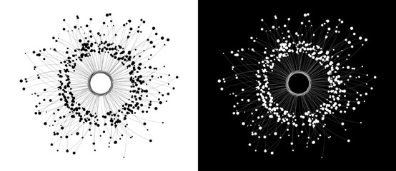 Leinwandbilder - Abstract background with lines and dots in circle. Art design BIG DATA or network concept. Black lines on a white background and white lines on the black side.