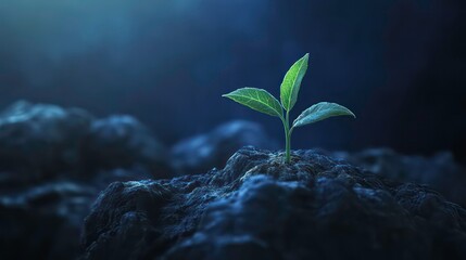 Aufkleber - A small sprout emerges from dark soil, illuminated by a soft light.
