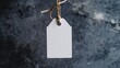 © Fenny - Blank white tag hanging on twine against dark background.