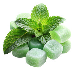 menthol candies with fresh mint leaves on transparent background