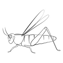 Wall Mural - Grasshopper one line drawing on white isolated background