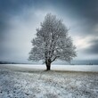 © Sonu - tree in snow