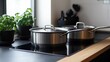 © jambulart - Stainless steel pots, induction cooktop, herbs, modern kitchen.