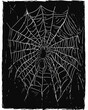 © AGSTRONAUT - Spider Web black and white illustration