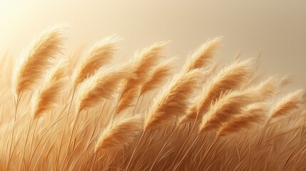 Wall Mural - Golden pampas grass swaying gently in the warm sunlight.