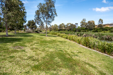 Wall Mural -  A well-maintained grass lawn with tree shade in a nature reserve or suburban neighborhood park in Australia, featuring a community outdoor green space with houses in the distance.Point Cook,Melbourne