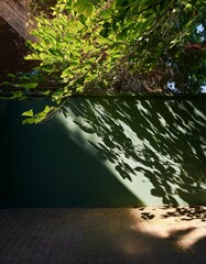 Canvas Print - Sunlight filters through leaves, casting dappled shadows on a dark green wall.