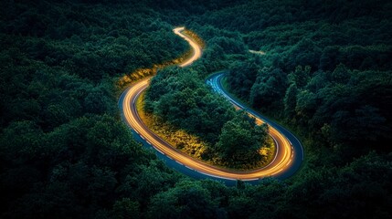 Wall Mural - A winding road through lush green forest landscape.