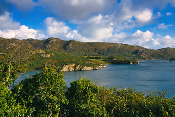 Wall Mural - Donegal Ireland - A stunning and scenic view of a tranquil coastline enriched with vibrant greenery and calm, serene waters