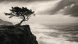 © Wahyu - Windswept Coastal Tree: A Dramatic Black and White Seascape Photograph