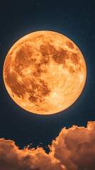 Wall Mural - stunning orange moonlit sky