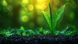 © Id_Stock - Vibrant Green Plant Sprout: Nature's Renewal, Close-up Photography of a Seedling Emerging from Soil