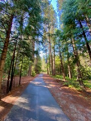 Yosemite