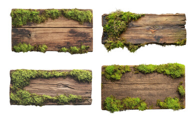 Wall Mural - Old wood boards with green moss isolated on transparent background