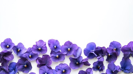 Canvas Print - Floral Arrangement of Vibrant Purple Pansy Petals Framing a Clean White Background for Elegant Design Elements