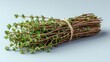 © Santri - Fresh Thyme Sprigs Bundle on Gray Surface