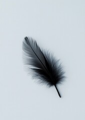 Wall Mural - A feather is shown on a white background