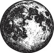 © vadymstock - Detailed black and white illustration of the moon with visible craters.