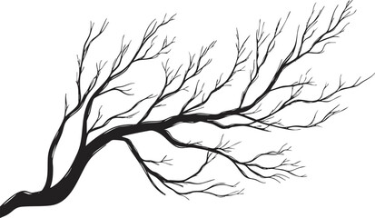 Silhouette of a barren tree branch against a white background.