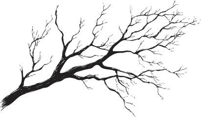 Black and white silhouette of a tree branch with intricate details.