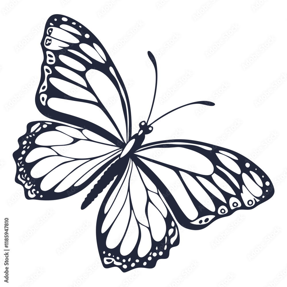 Beautiful Butterfly Vector for Design Projects Stock Vector | Adobe Stock