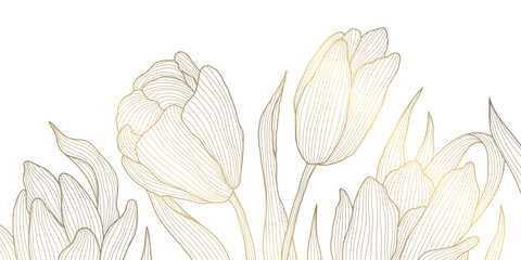 Wall Mural - vector line gold on white tulips art, luxury graphic botanical illustration, plant floral background