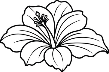hibiscus flower line art vector , beautiful hibiscus flower line drawing