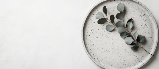 Leinwandbilder - Grey concrete plate with eucalyptus on a white background top view mockup. with copy space image. Place for adding text or design