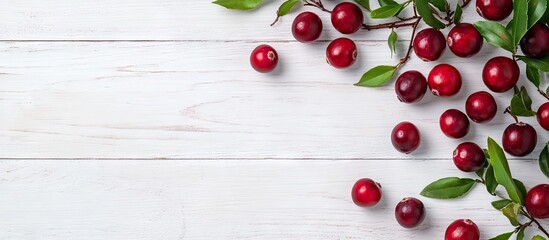 Fototapete - Fresh ripe cranberries and branches on a white wooden table top view Area for text. with copy space image. Place for adding text or design