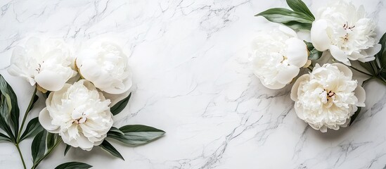 Aufkleber - Lovely blooming white peony flowers on a marble background with copyspace in a minimal style square template suitable for a postcard text or your design Concept for wedding invitations and celebrat