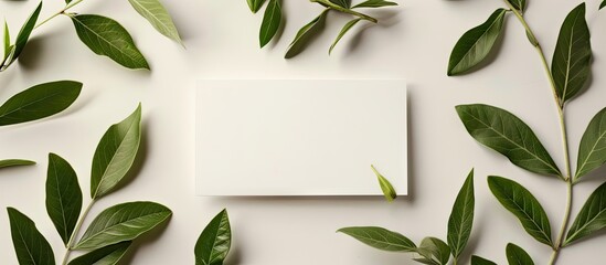 Poster - Innovative arrangement of laurel leaves alongside a note card Flat lay Nature theme. with copy space image. Place for adding text or design