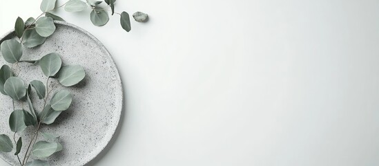 Leinwandbilder - Grey concrete plate with eucalyptus on a white background top view mockup. with copy space image. Place for adding text or design