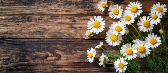 Aufkleber - Beautiful spring chamomile blossoms Wildflowers Flat lay of spring and summer chamomile flowers on a textured wooden background The idea of gardening and plants Bouquet Area for text copy space